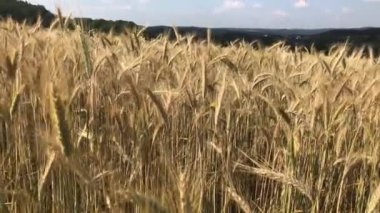 Kapadokya, 60 milyon yıl önce Erciyes, Hasanda ve Gllda 'dan fışkıran kül ve lavın oluşturduğu yumuşak katmanların milyonlarca yıl önce yağmur ve rüzgar tarafından aşındığı bölgedir..