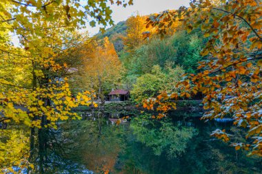 Bolu, Yedigller Ulusal Parkı, Sonbahar