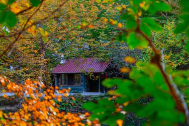 Bolu, Yedigller Ulusal Parkı, Sonbahar