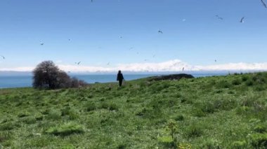 Van Gölü 'ndeki dört büyük adadan biri olan Carpanak, ziyaretçilerine dokunulmamış doğası ve dokusuyla eşsiz bir güzellik sunuyor..