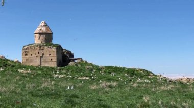 Van Gölü 'ndeki dört büyük adadan biri olan Carpanak, ziyaretçilerine dokunulmamış doğası ve dokusuyla eşsiz bir güzellik sunuyor..