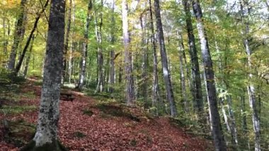 Bolu Seven Lakes Ulusal Parkı
