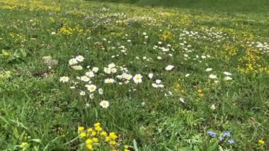 Kackar Dağları Ulusal Parkı ve en güzel manzarası