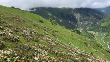 Türkiye 'deki Kackar Dağları ve çevresinde platolar, göller ve nehirler bulunan doğal manzarası.