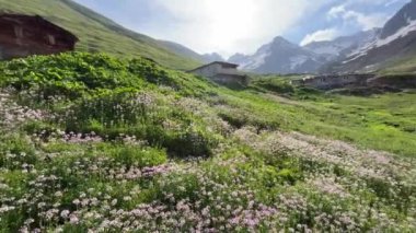 Türkiye 'deki Kackar Dağları ve çevresinde platolar, göller ve nehirler bulunan doğal manzarası.