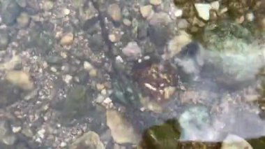 Usak, Clandras şelale ve köprü