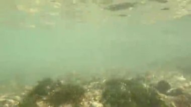 Usak, Clandras şelale ve köprü