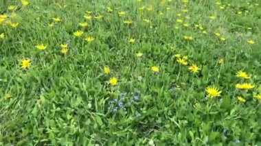 Türkiye 'nin en çok ziyaret edilen bölgesi, Kackar Dağları ve doğal yaşamı