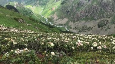 Türkiye 'nin en çok ziyaret edilen bölgesi, Kackar Dağları ve doğal yaşamı