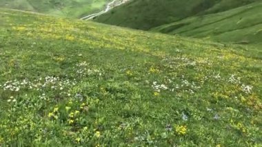 Türkiye 'nin en çok ziyaret edilen bölgesi, Kackar Dağları ve doğal yaşamı