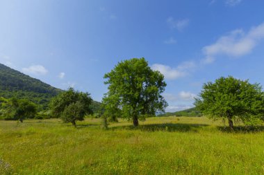 Horma Kanyonu Pnarbasi bölgesinde yer almaktadır.