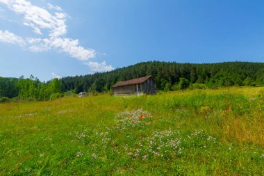 Horma Kanyonu Pnarbasi bölgesinde yer almaktadır.