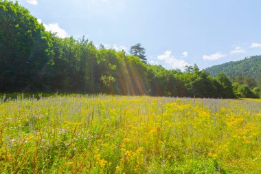 Horma Kanyonu Pnarbasi bölgesinde yer almaktadır.