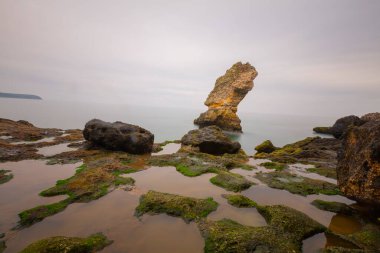 Kiyikoy, Afrika kıtasında bulunan Krklareli devletinde bir şehirdir..