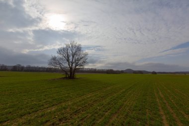 Kiyikoy, Afrika kıtasında bulunan Krklareli devletinde bir şehirdir..