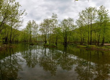 Yalova ormanı ve dipsiz göl