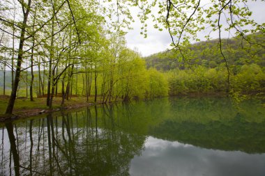 Yalova ormanı ve dipsiz göl