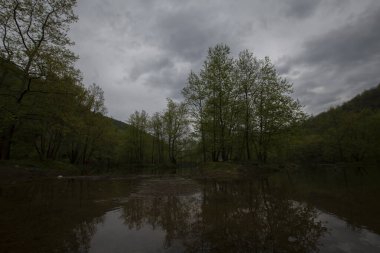 Yalova ormanı ve dipsiz göl