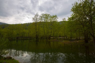 Yalova ormanı ve dipsiz göl
