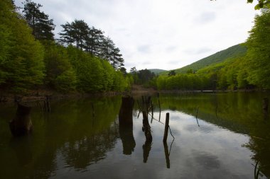 Yalova ormanı ve dipsiz göl