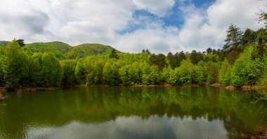 Yalova ormanı ve dipsiz göl