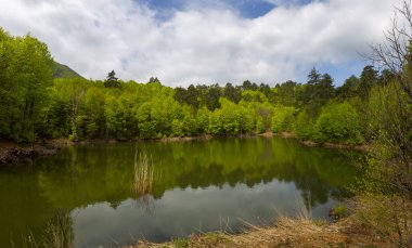 Yalova ormanı ve dipsiz göl