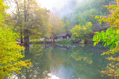 Yedigoller Ulusal Parkı Doğal Parkı, Bolu