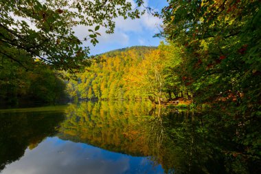 Yedigoller Ulusal Parkı Doğal Parkı, Bolu