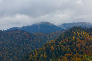 Yedigoller Ulusal Parkı Doğal Parkı, Bolu