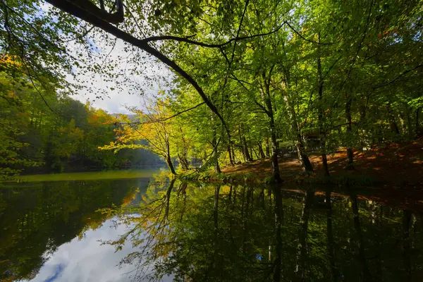 Yedigoller Ulusal Parkı Doğal Parkı, Bolu