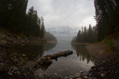 Elbsee, Immenhofen 'den göl boyunca uzanan köprülerden geçmek kolay bir yoldur..