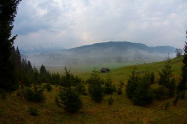 Güzel bir yer olan Geroldsee 'ye giden bir patika var..
