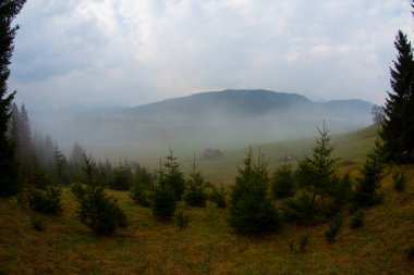Güzel bir yer olan Geroldsee 'ye giden bir patika var..