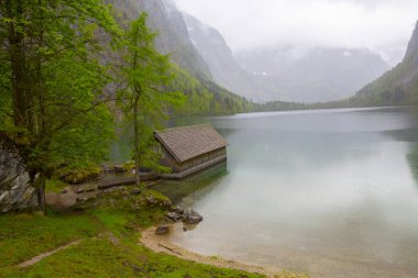 Obersee Almanya 'da küçük bir doğal göl.