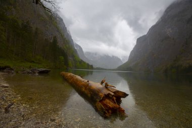 Obersee Almanya 'da küçük bir doğal göl.