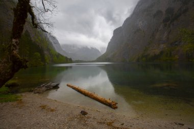 Obersee Almanya 'da küçük bir doğal göl.