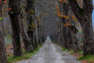 Bursa, Dudakl köyünde uçak yolu.