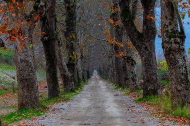 Bursa, Dudakl köyünde uçak yolu.
