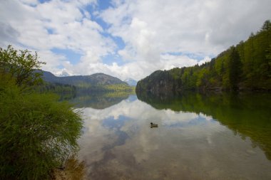 Alpsee, Almanya 'nın Bavyera eyaletinde yer alan bir şehirdir.