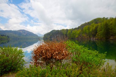 Alpsee, Almanya 'nın Bavyera eyaletinde yer alan bir şehirdir.