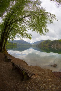 Alpsee, Almanya 'nın Bavyera eyaletinde yer alan bir şehirdir.