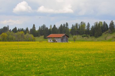 Rundtour zum Hegratsriedsee  Wanderung