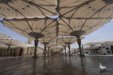 Medine İslam dini için kutsal ve özel bir şehirdir. Mekke 'den sonra en çok merak edilen yer ve İslam' ın temellerinin atıldığı yer..