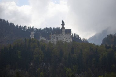 Neuschwanstein Kalesi veya Neuschwanstein Kalesi
