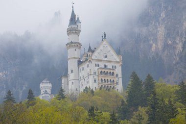 Neuschwanstein Kalesi veya Neuschwanstein Kalesi