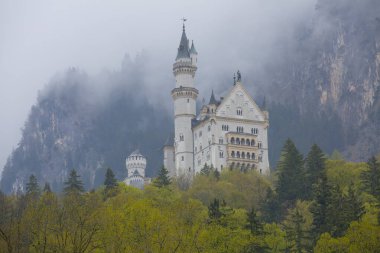 Neuschwanstein Kalesi veya Neuschwanstein Kalesi
