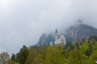 Neuschwanstein Kalesi veya Neuschwanstein Kalesi