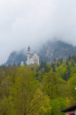 Neuschwanstein Kalesi veya Neuschwanstein Kalesi