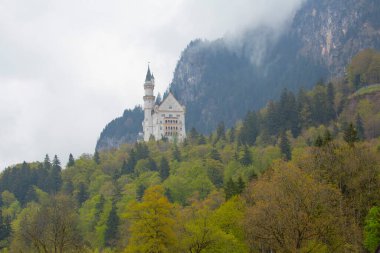 Neuschwanstein Kalesi veya Neuschwanstein Kalesi