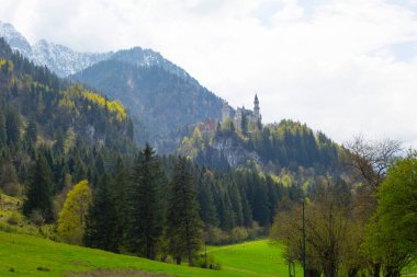 Neuschwanstein Kalesi veya Neuschwanstein Kalesi